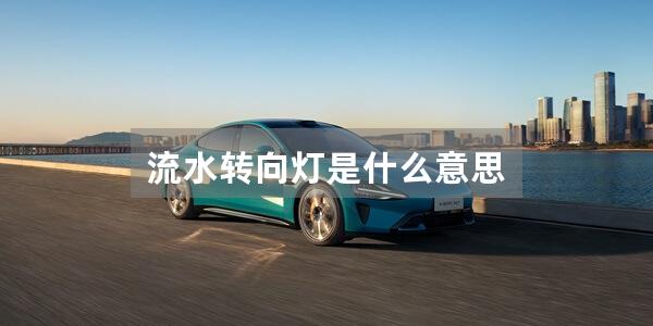 流水转向灯是什么意思