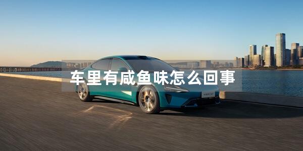 车里有咸鱼味怎么回事