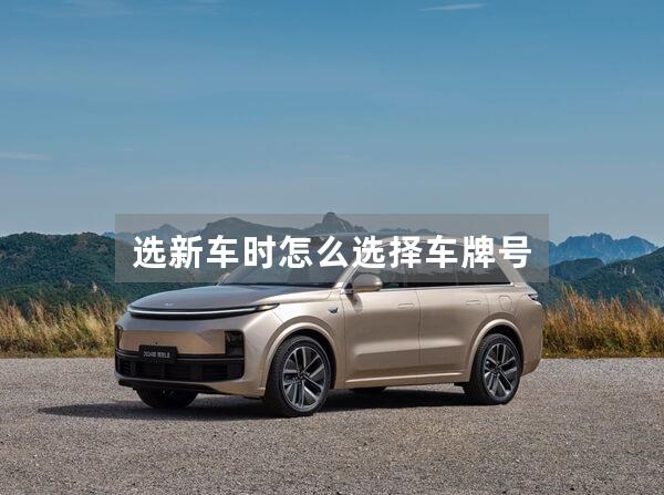 选新车时怎么选择车牌号