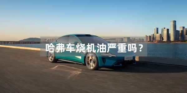 哈弗车烧机油严重吗？