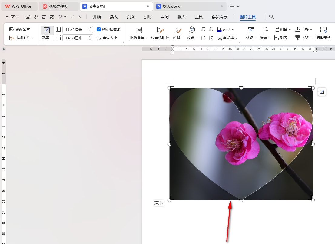 WPS文档将图片裁剪成心形的方法